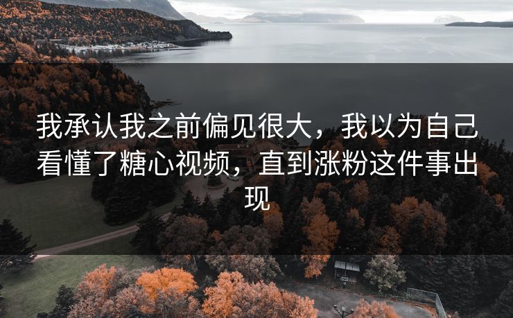 我承认我之前偏见很大,我以为自己看懂了糖心视频,直到涨粉这件事出现 我承认我之前偏见很大,我以为自己看懂了糖心视频,直到涨粉这件事出现