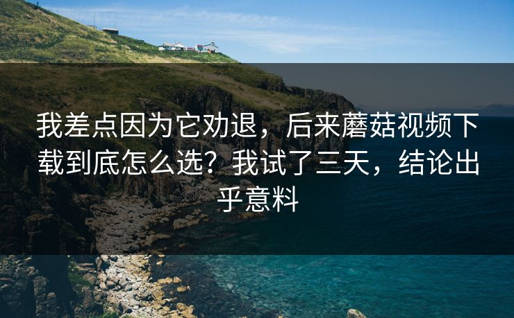 我差点因为它劝退,后来蘑菇视频下载到底怎么选?我试了三天,结论出乎意料 我差点因为它劝退,后来蘑菇视频下载到底怎么选?我试了三天,结论出乎意料